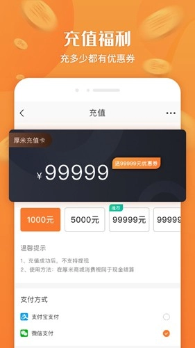 厚米图1