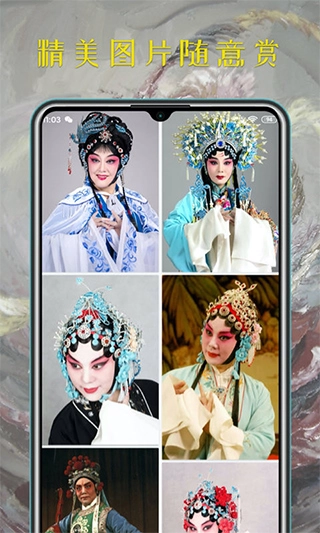 豫剧迷手机版图1