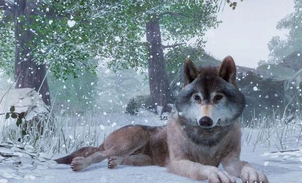 动物园之星免费中文版(2)