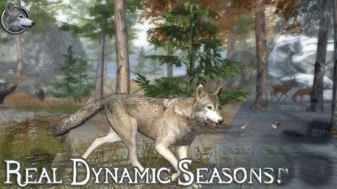 终极野狼模拟器2(1)