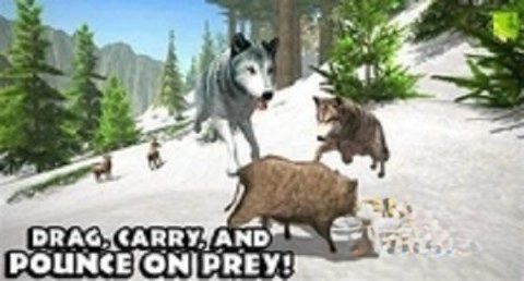 终极野狼模拟器2(5)