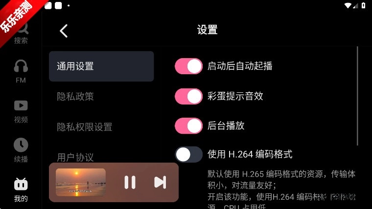 哔哩哔哩车机版