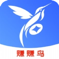 赚赚鸟 