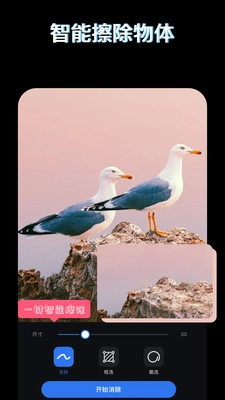 PS图片映像工具2026图4