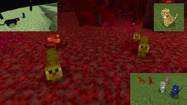 猫咪沙盒世界-图2