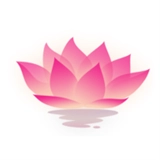 荷花工具箱最新版