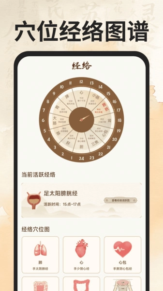 穴位经络图谱图3