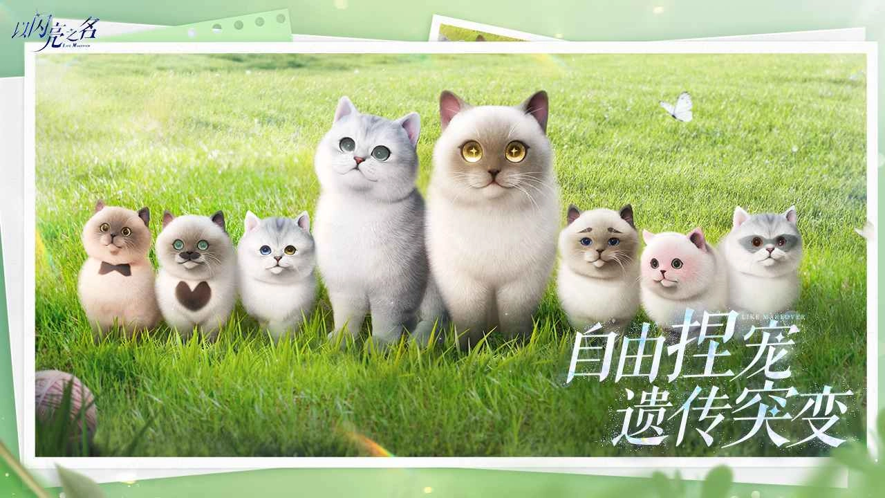 以闪亮之名2026版