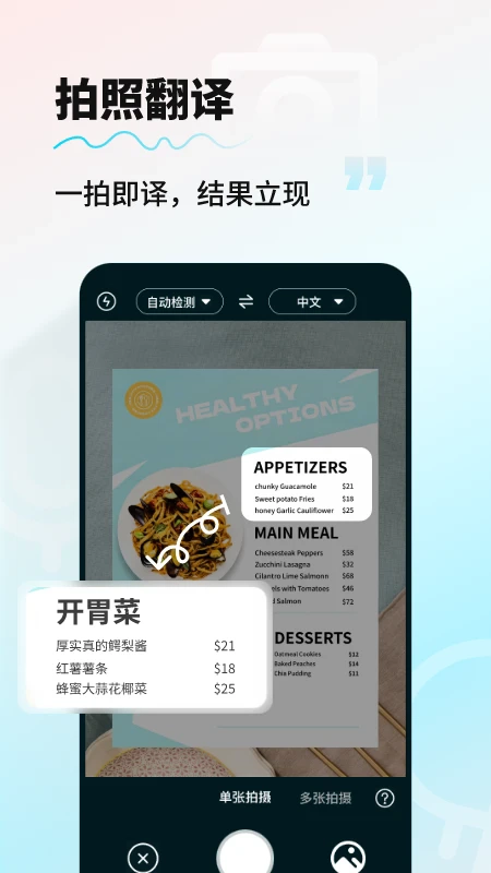 AI智能翻译通2026图4