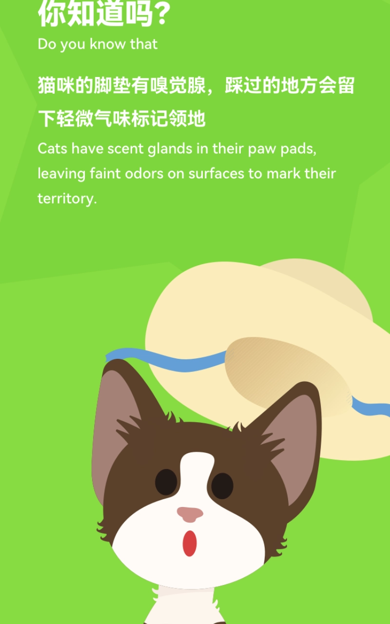 尾巴纪元2025图5