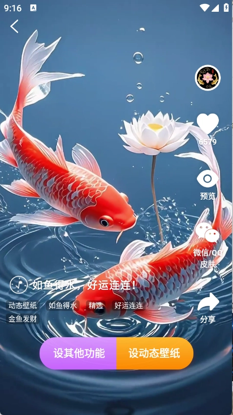 荷花锦鲤壁纸图1