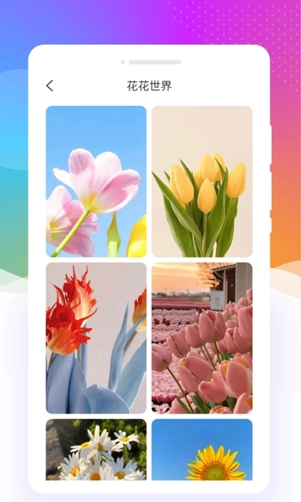 元气口袋壁纸图1