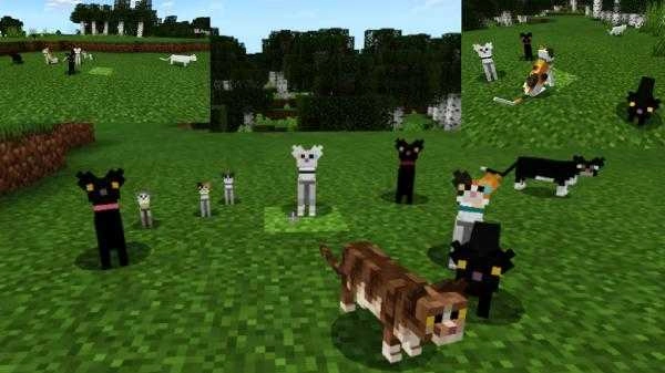 猫咪沙盒世界-图3