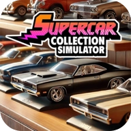 超级跑车收藏模拟器 .51