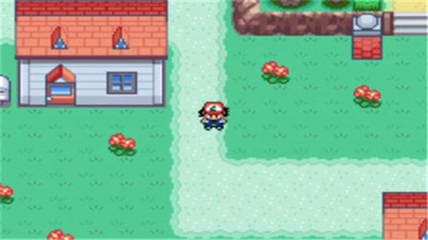 宝可梦圣灰最终版截图2