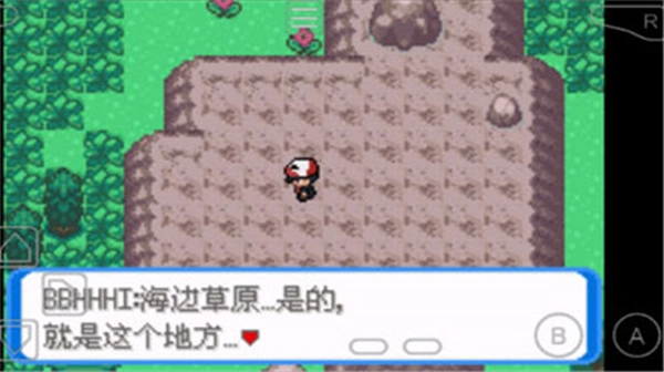 宝可梦圣灰最终版截图1