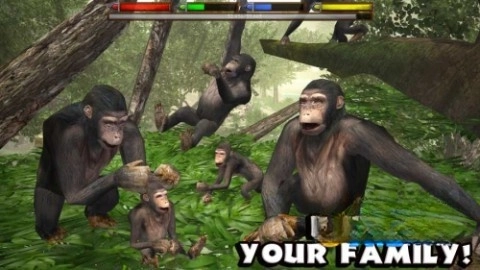 丛林动物模拟器