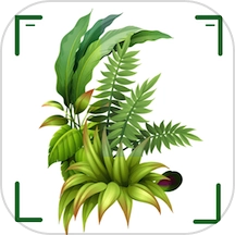 识万物扫一扫最新版