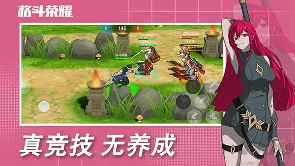 格斗荣耀中文版(3)