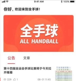 全手球安卓版