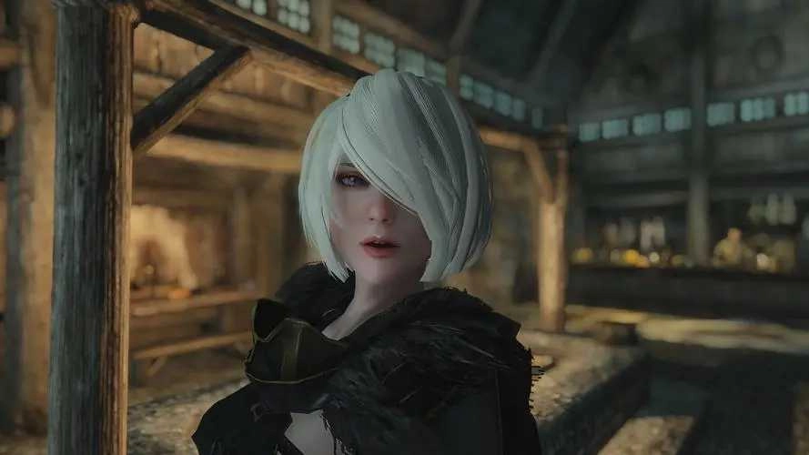 上古卷轴52b小姐姐独立随从MOD 图3