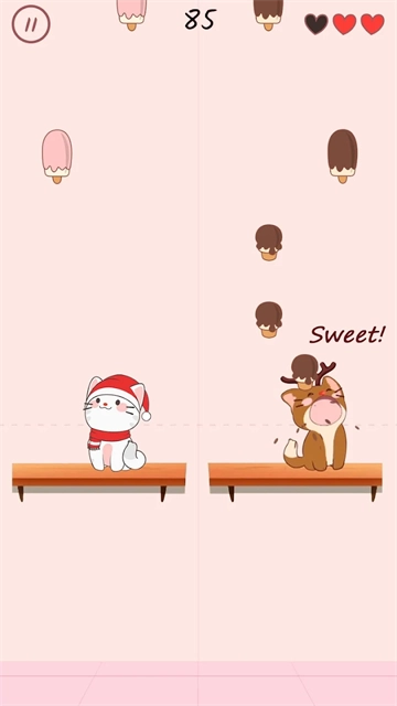 猫咪二重奏 图1