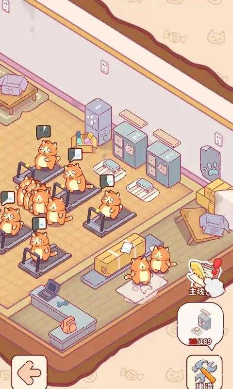 猫咪健身房 .5089(4)