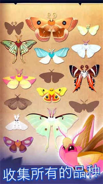 彩翼之星夜 图1