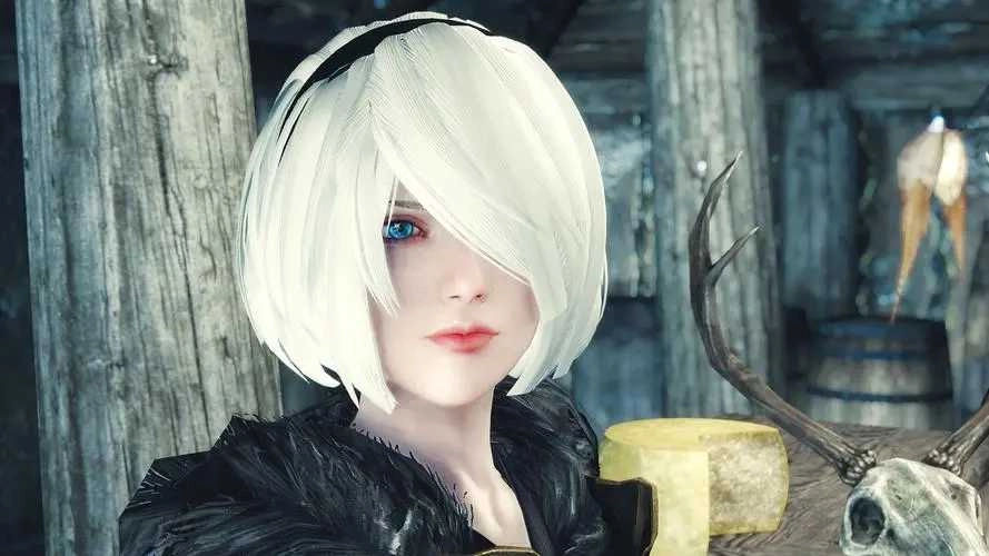 上古卷轴52b小姐姐独立随从MOD 图2