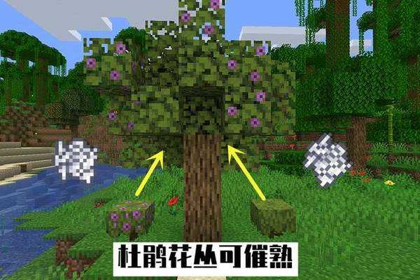 我的世界21w16a快照版图1