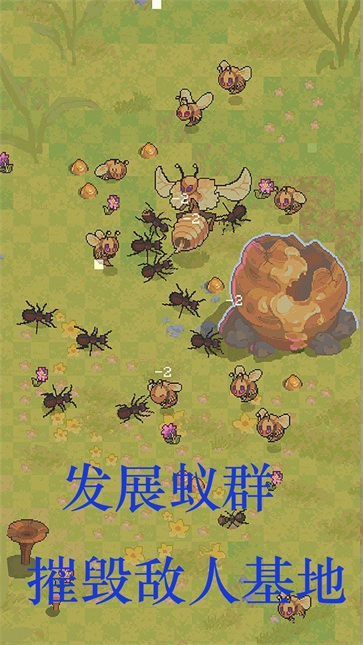 蚂蚁王国崛起(3)