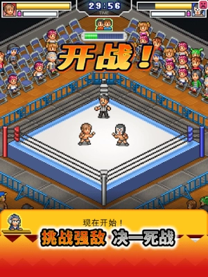 开罗摔跤擂台物语(3)