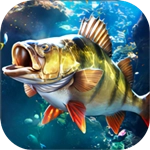 欢乐钓鱼大师手机版