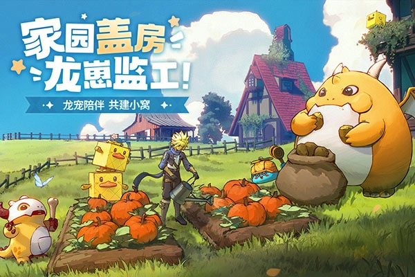 龙骑士学园最新版图3