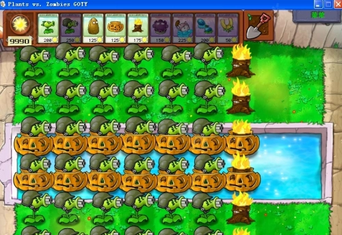 植物大战僵尸2010经典版(3)