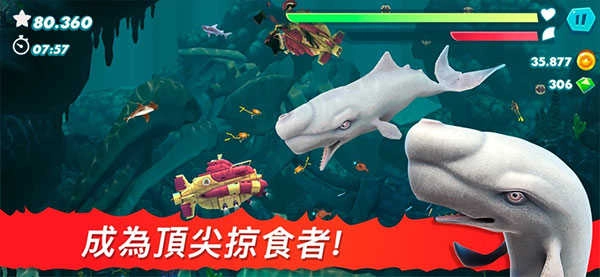 饥饿鲨进化2026新版图4