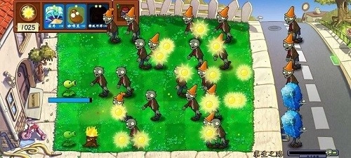 植物大战僵尸技能版