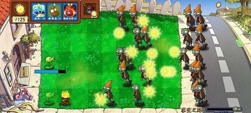 植物大战僵尸技能版