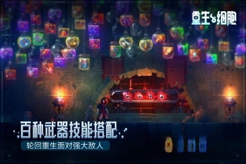 重生细胞bilibili版(3)