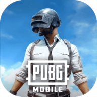 pubg版
