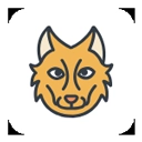 元萝卜框架2026最新版