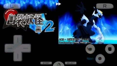 袋妖怪超透黑2 版(5)