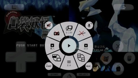 袋妖怪超透黑2 版(3)