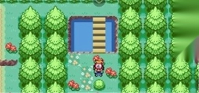 口袋妖怪格查尔联机版(1)