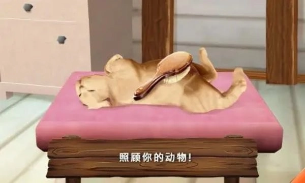 动物旅馆手机版图2