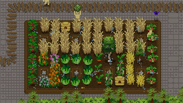 小小露台手机版图2