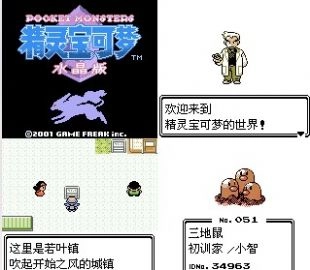 口袋妖怪水晶版(1)