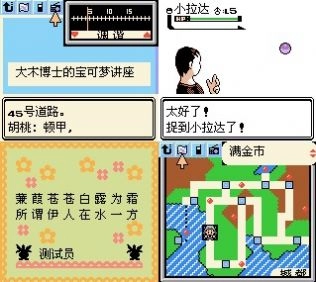 口袋妖怪水晶版(4)