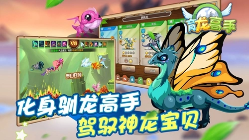 育龙高手图2