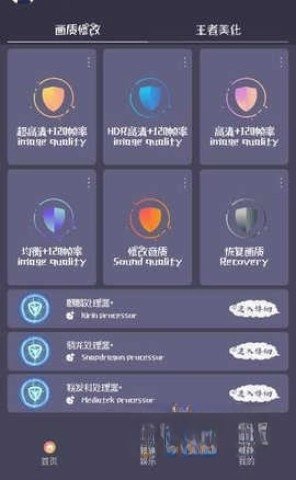 papapet画质助手图2